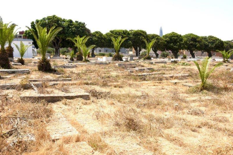 maroc sale cimetiere juif tombes ZBL 4773 (33)